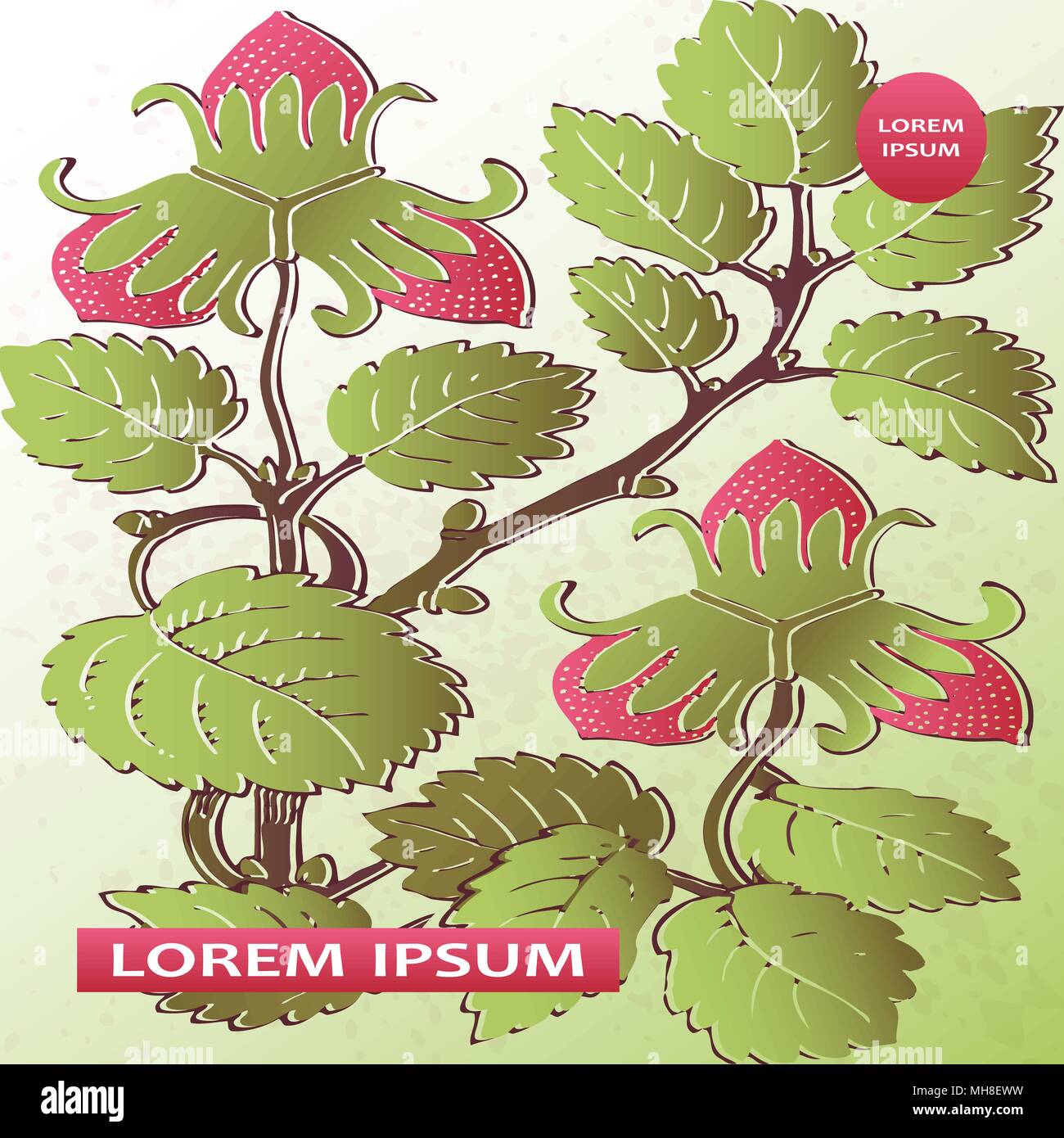 Les modèles de conception de modèle de fraise produit. Fruits rouges à la main. Mode mignon fleur fond verdure bush. Illustration graphique mariage, invita Illustration de Vecteur