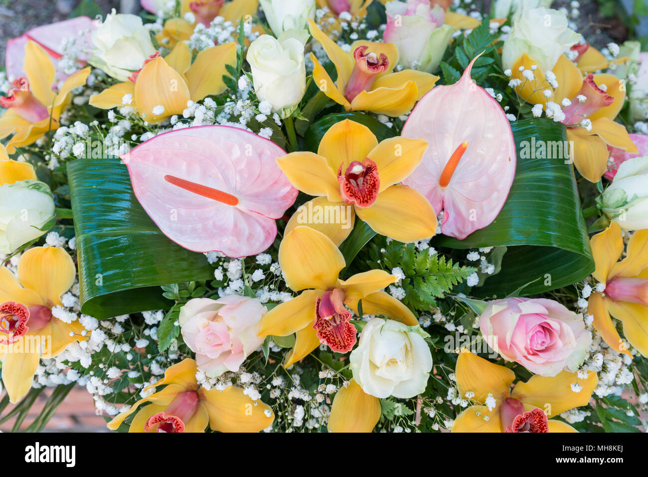 Bouquet de fleurs comme lily Banque D'Images