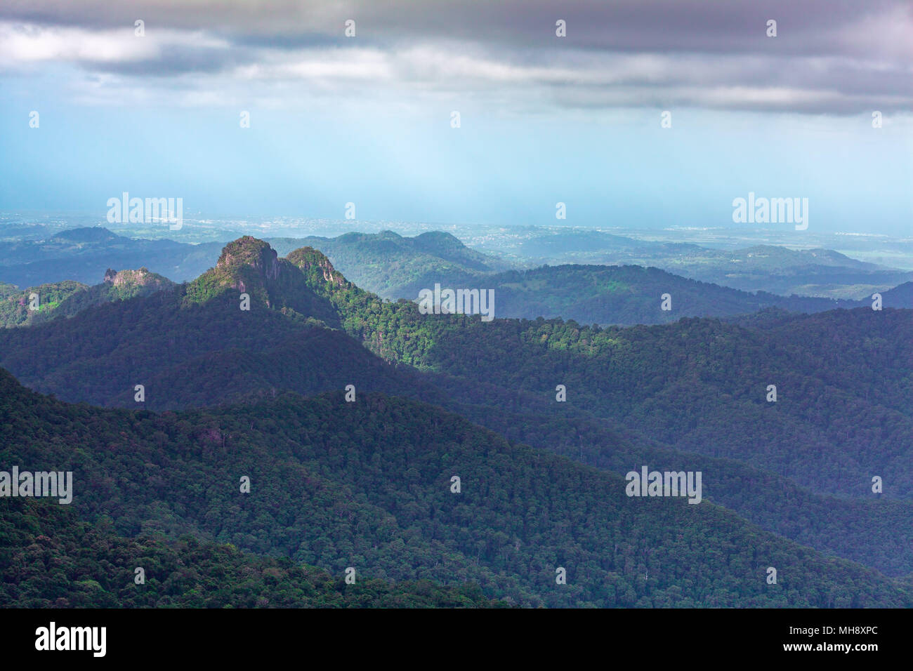 De belles collines et falaises paysage de parc national de Springbrook, Queensland, Australie Banque D'Images