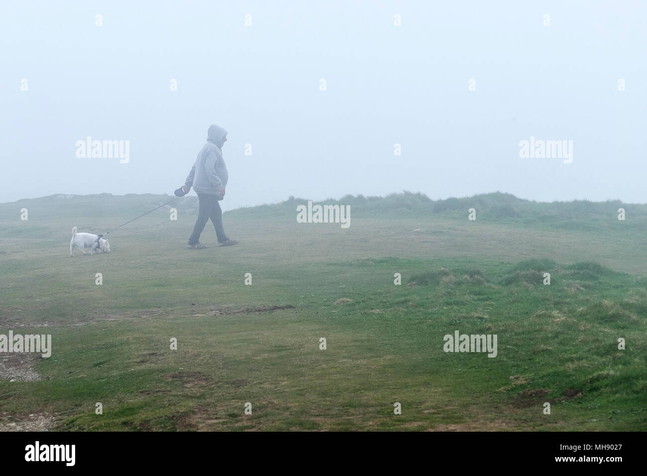 Royaume-uni - un chien walker sur East Pointe Pentire dans un épais brouillard de mer. Banque D'Images