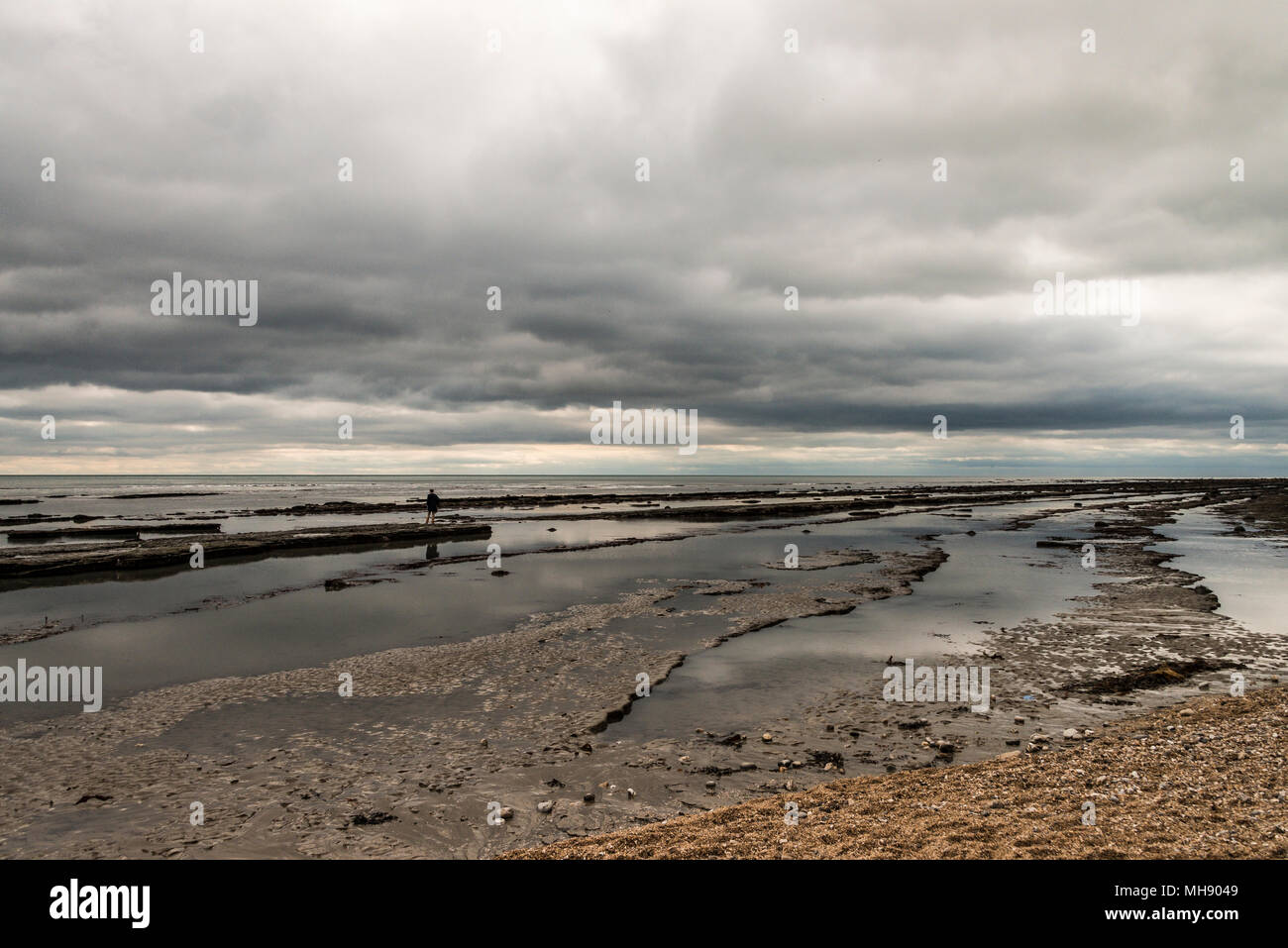 Monmouth Beach, Lyme Regis Banque D'Images