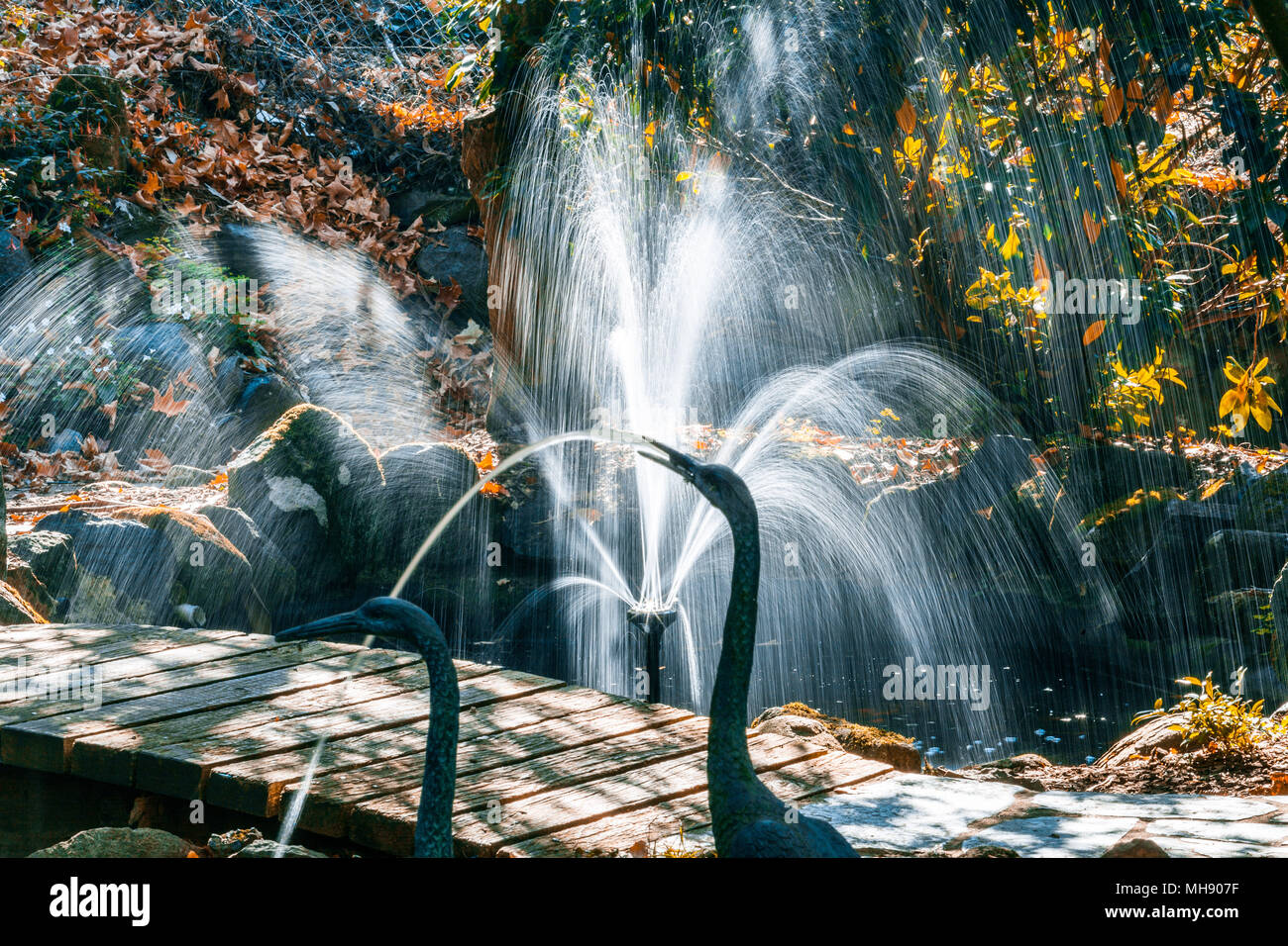 Petite fontaine dans un beau jardin d'automne Banque D'Images