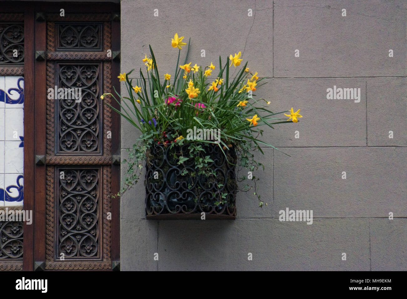 Les jonquilles et autres fleurs de printemps dans le mur à côté du semoir lambris de style mauresque et carreaux Banque D'Images