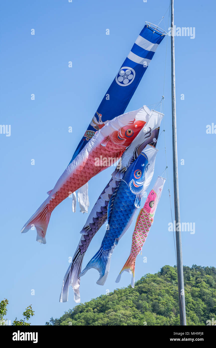 Les bourrasques Carp float dans la brise au Japon pour célébrer la Journée de l'enfance. Banque D'Images