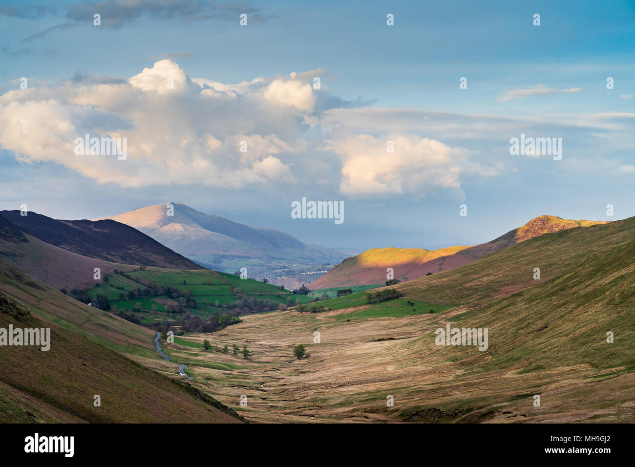 Vallée de Newlands, le soir. Banque D'Images