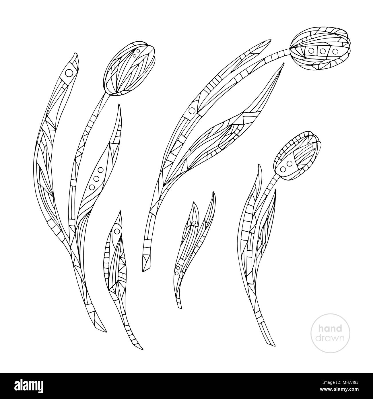 Coloriage tulipes. Hand drawn vector illustration fleurs abstraites. Illustration de Vecteur