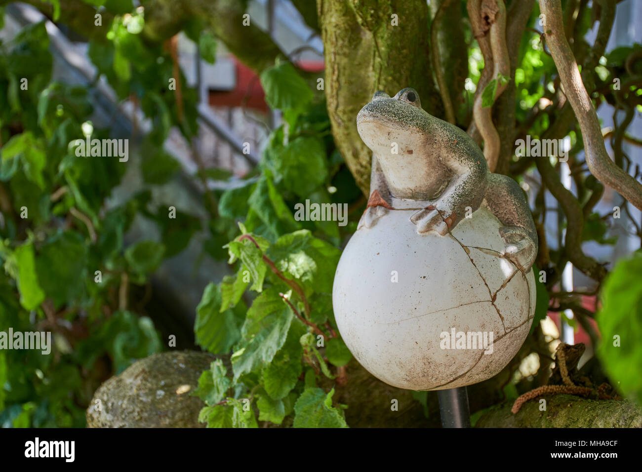Ornement de la grenouille dans le jardin avec des plantes à l'arrière-plan Banque D'Images