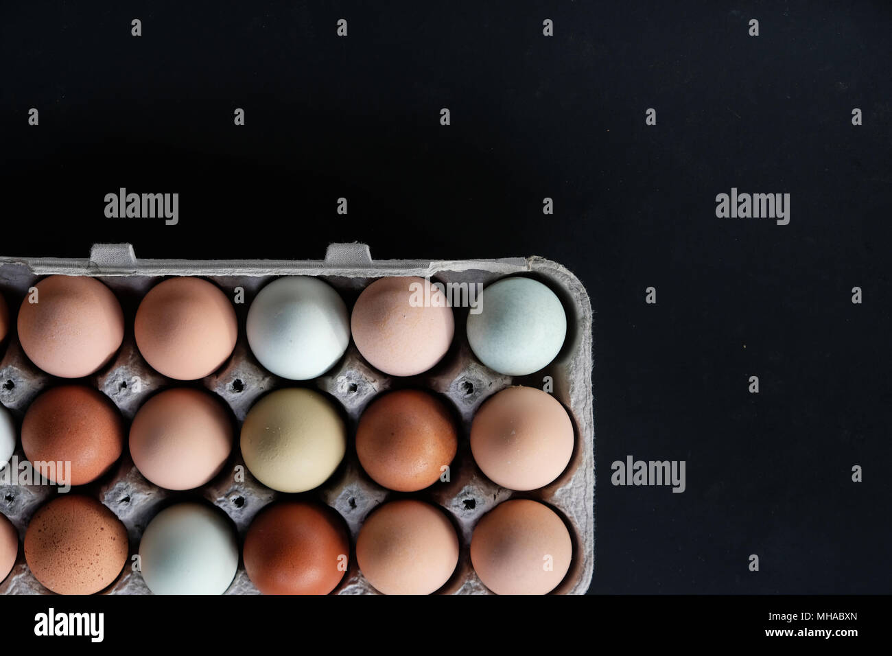 Farm Fresh les oeufs de poule en tant que collection de couleurs en carton, studio shot sur fond noir. Banque D'Images