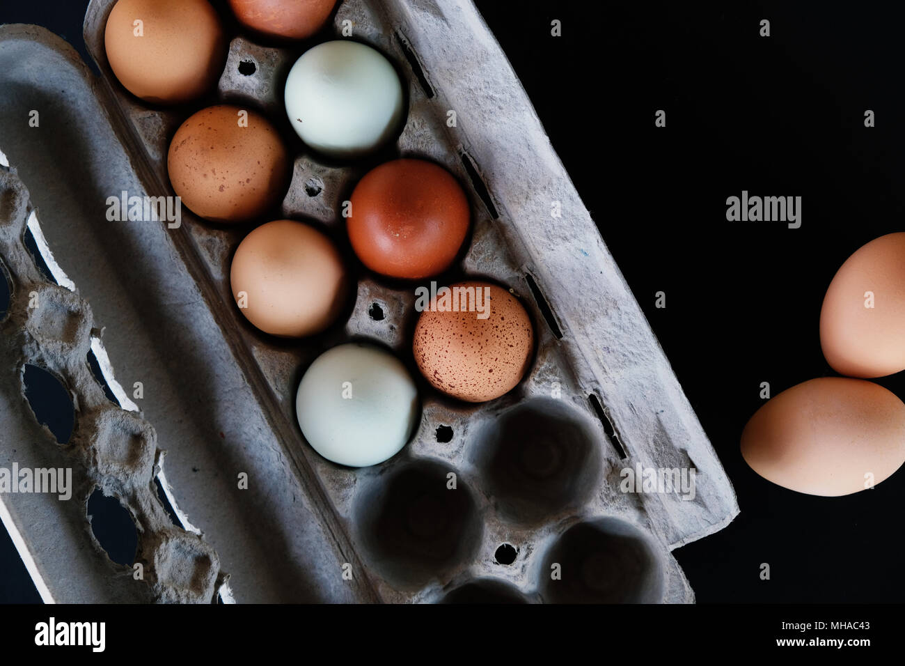 Farm Fresh les oeufs de poule en tant que collection de couleurs en carton, studio shot sur fond noir. Banque D'Images