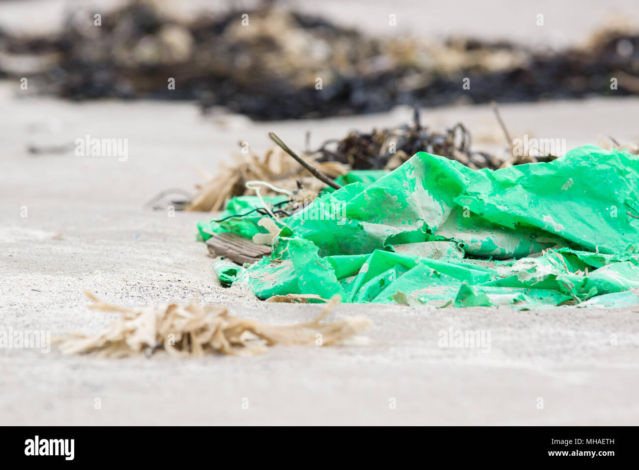 Feuille de plastique vert échoué sur une plage entourée par un exemple d'algues les nombreuses pièces d'ordures dans la mer autour du monde Banque D'Images