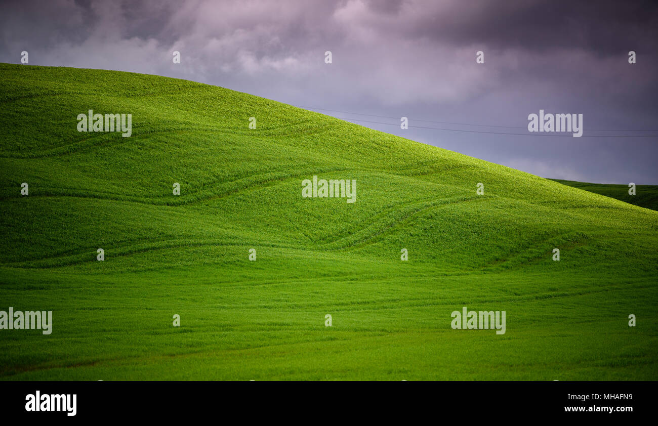 Vue spectaculaire de champs verts avec des taches de soleil sur les collines toscanes et les sentiers dans l'herbe contre un ciel d'orage au printemps, Crete Senesi, Italie Banque D'Images