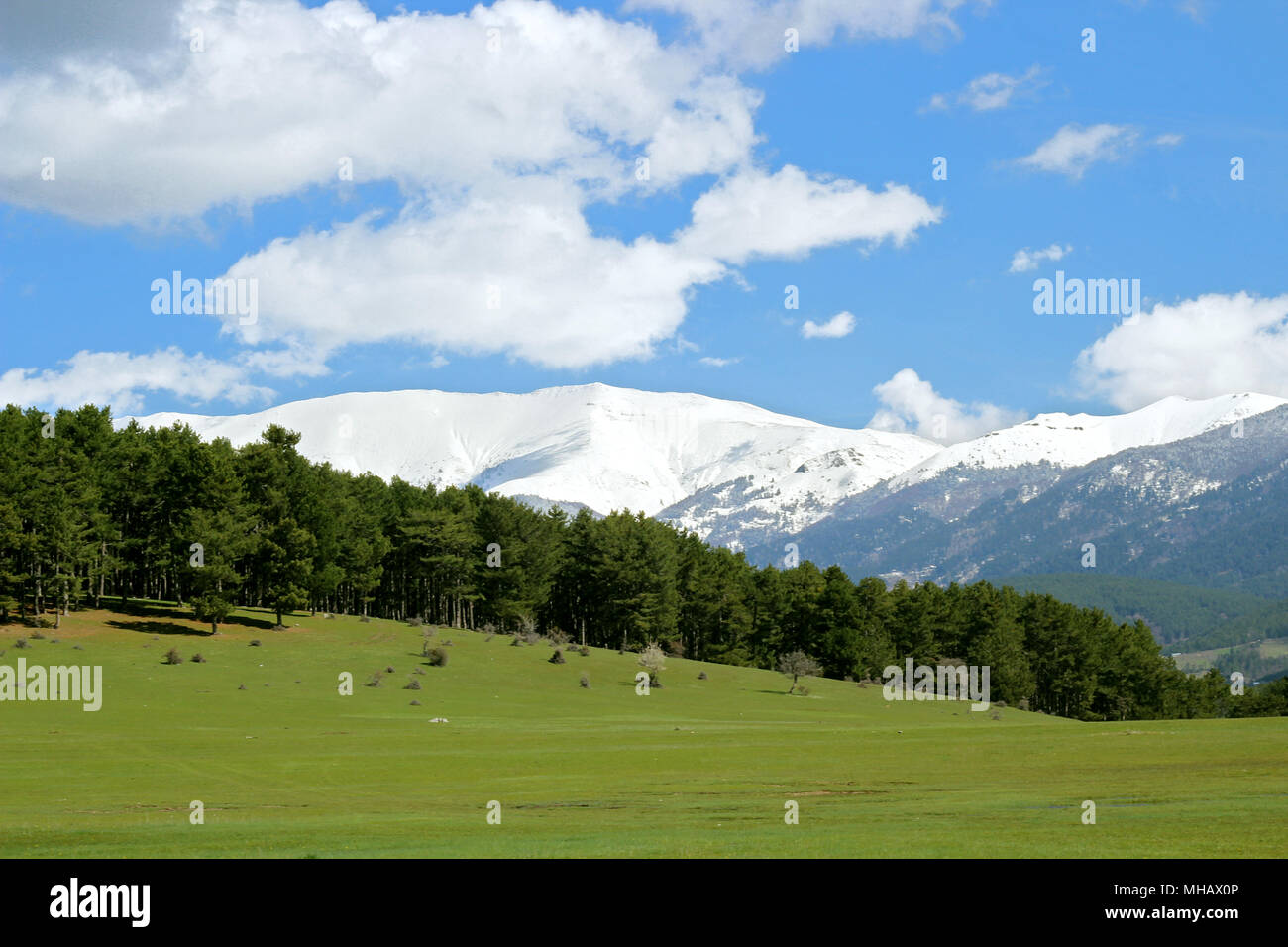 Vue incroyable avec montagne, neige et arbres. Paysage parfait d'une montagne. Les neige ne sont pas encore fondues et l'herbe est complètement verte Banque D'Images