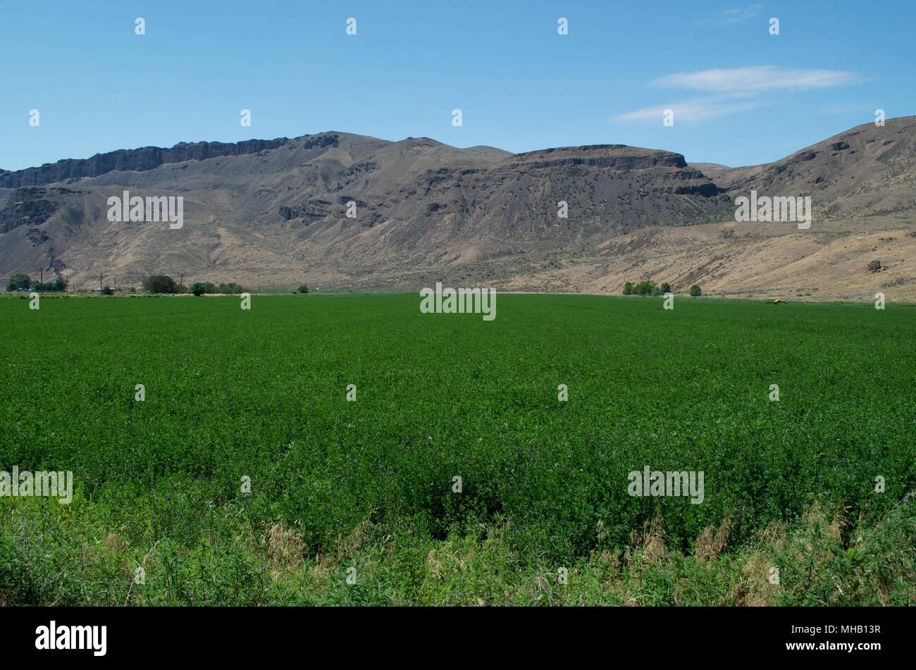 Les Scablands canalisées 8 Banque D'Images