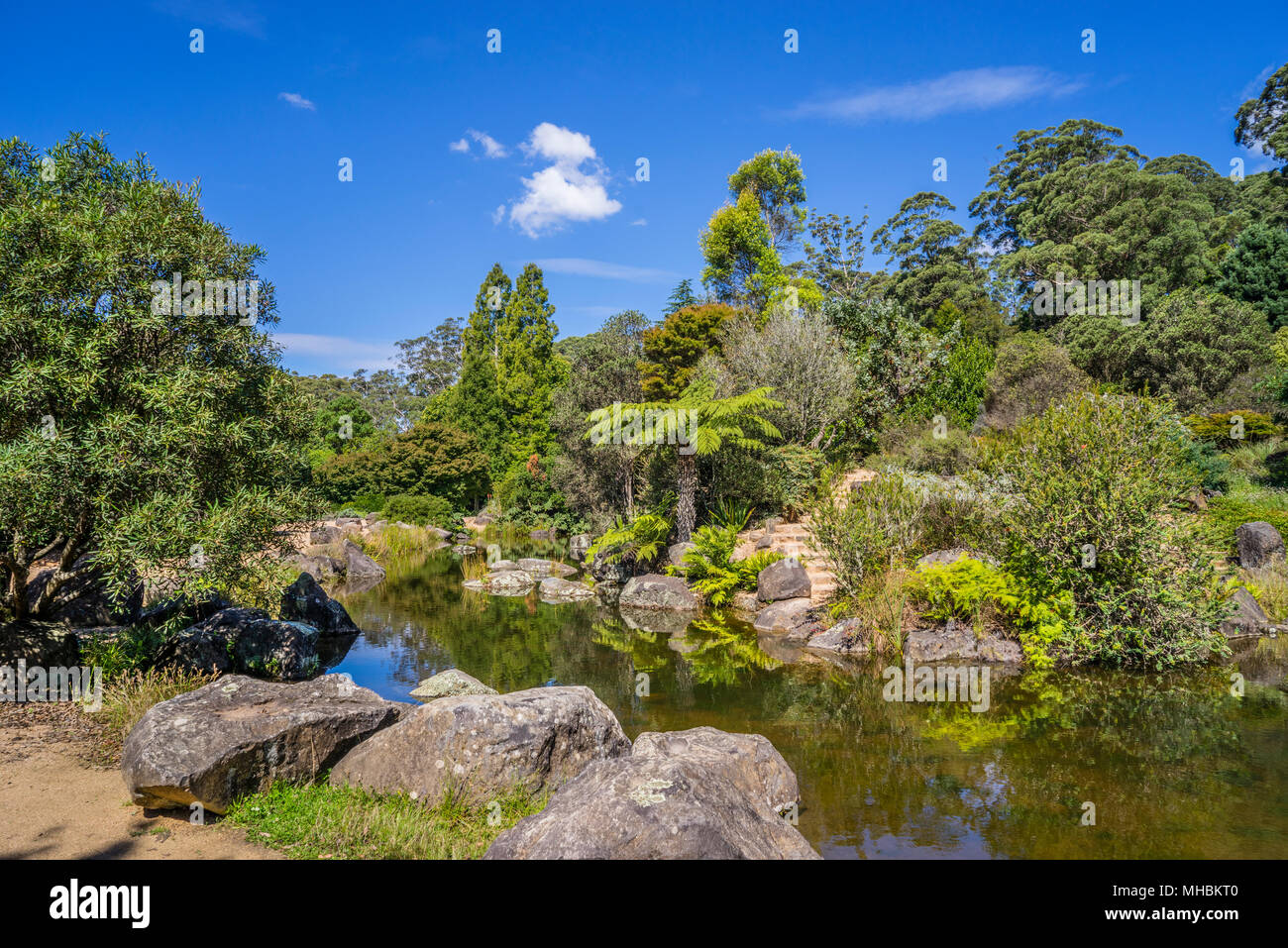 Étang idyllique à Blue Mountains Botanic Garden, Mount Tomah, le jardin public de 128 hectares, 1000 m au-dessus du niveau de la mer est spécialisé dans les plantes au climat frais Banque D'Images