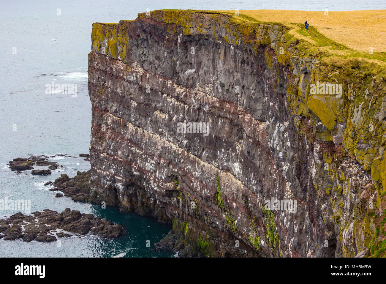 Les falaises de Latrabjarg, Islande Westfjords Banque D'Images