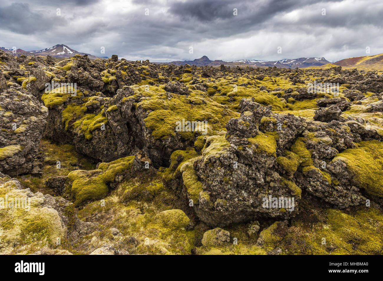 Lave de Berserkjahraun dans la péninsule de Snæfellsnes, l'Islande Banque D'Images