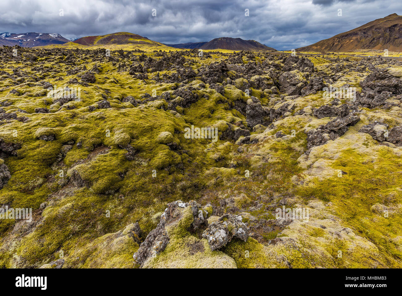 Lave de Berserkjahraun dans la péninsule de Snæfellsnes, l'Islande Banque D'Images