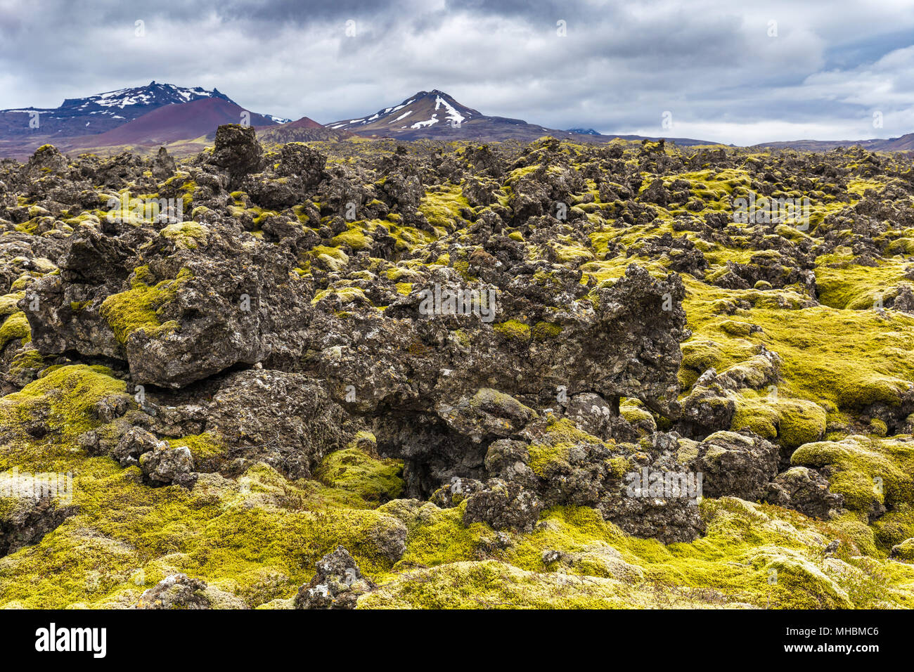 Lave de Berserkjahraun dans la péninsule de Snæfellsnes, l'Islande Banque D'Images