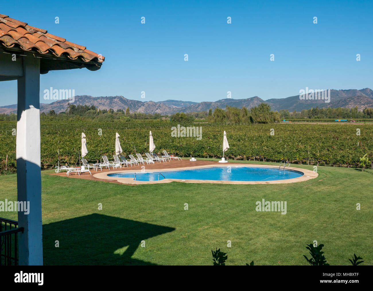 Jardin paysager et piscine dans les vignes, l'Hotel TerraVina, Santa Cruz, région viticole de la vallée de Colchagua, Chili, Amérique du Sud Banque D'Images