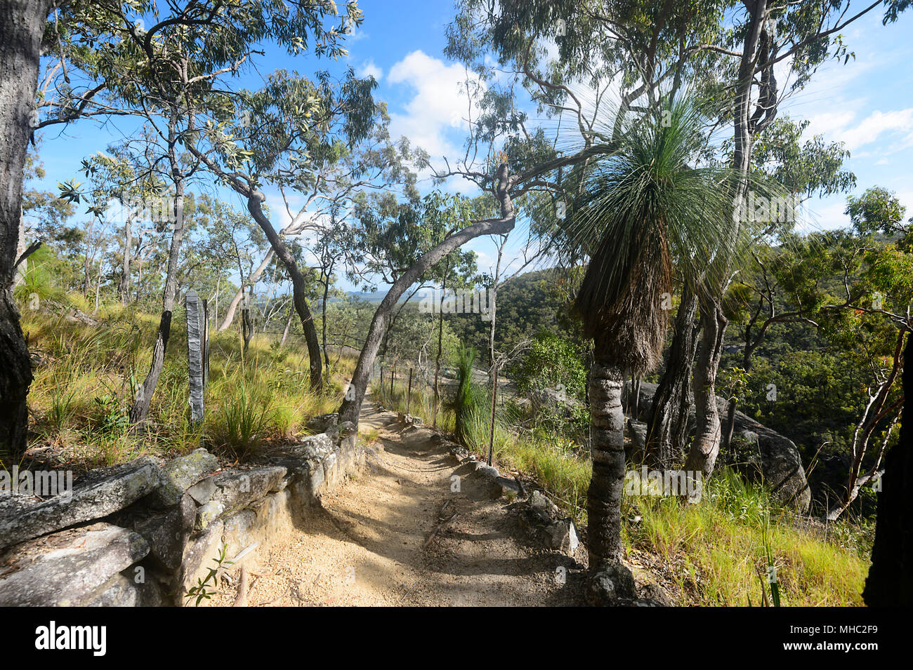 Sentier pédestre menant à la Davies Creek Falls lookout, Davies Creek National Park près de Mareeba, Far North Queensland, Queensland, Australie, FNQ Banque D'Images