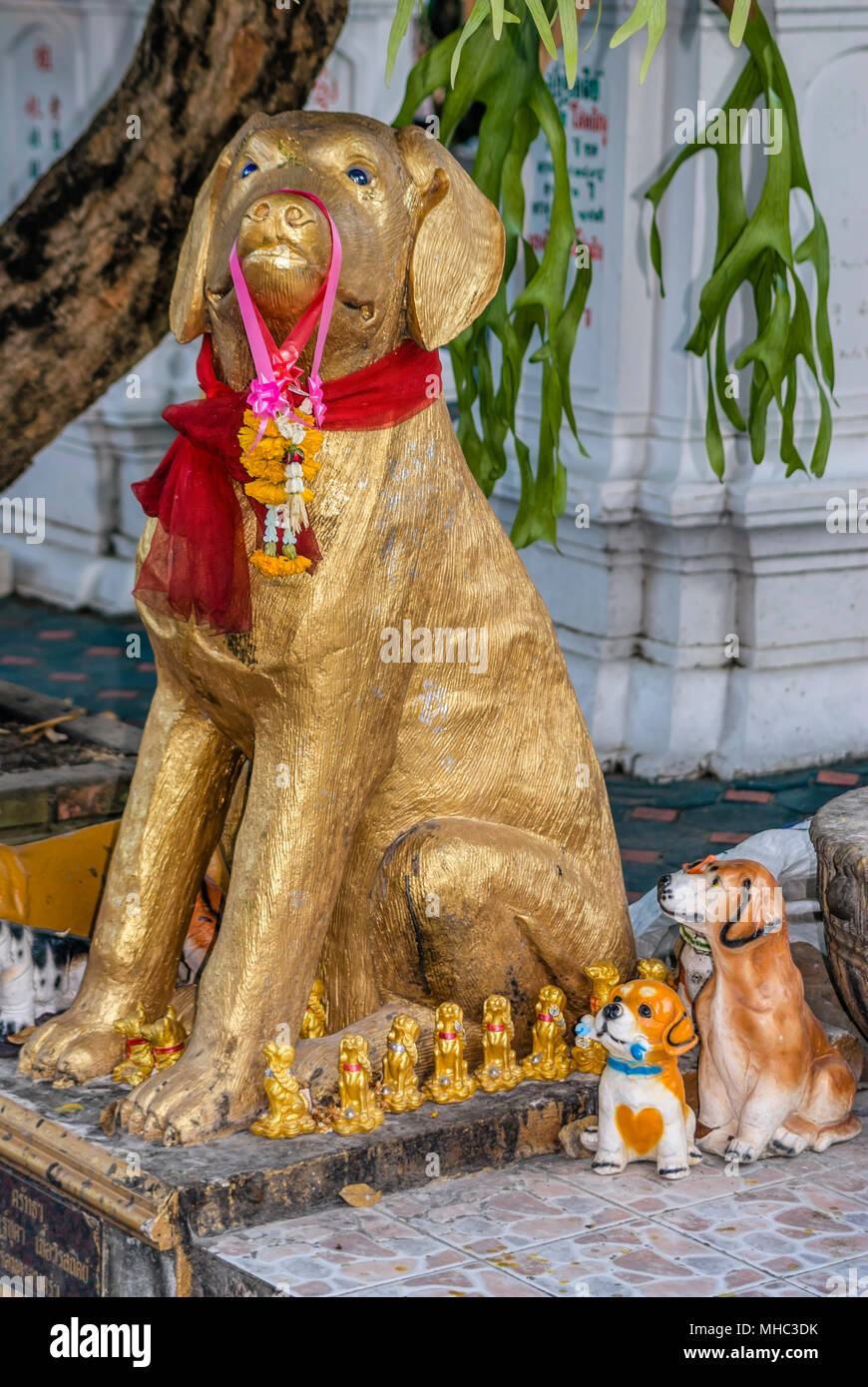 Sculptures pour chiens au temple bouddhiste de Wat ketkaram à Chiang Mai, en Thaïlande du Nord Banque D'Images