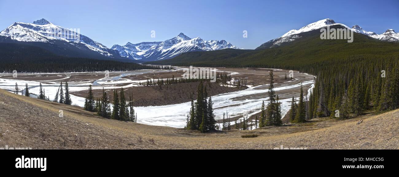 Scenic Printemps large paysage panoramique de la Rivière Howse appartements et des sommets des pics des montagnes Rocheuses dans le parc national de Banff, Canadian Rockies Banque D'Images