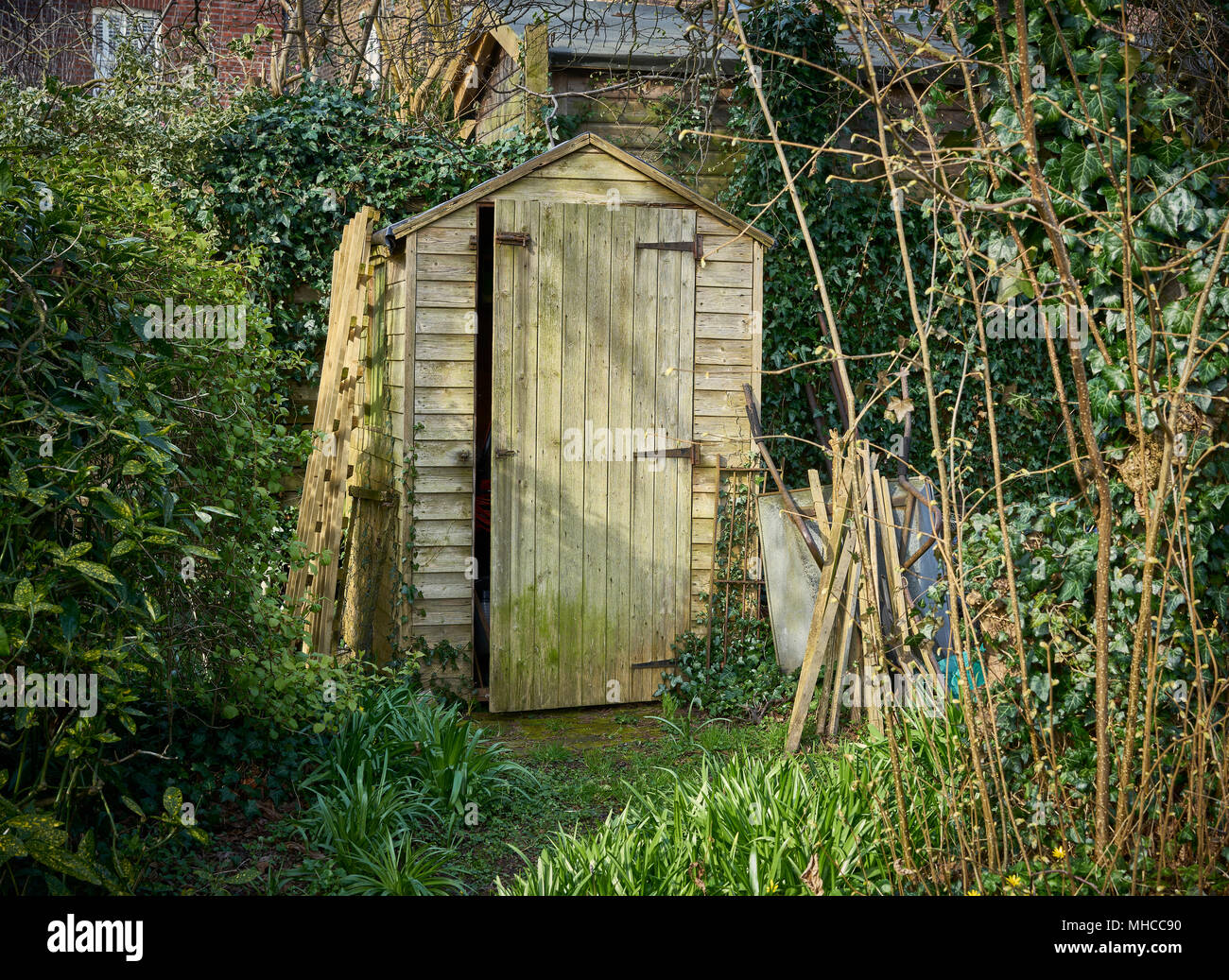 Jardin arrière hangar en bois rustique Banque D'Images