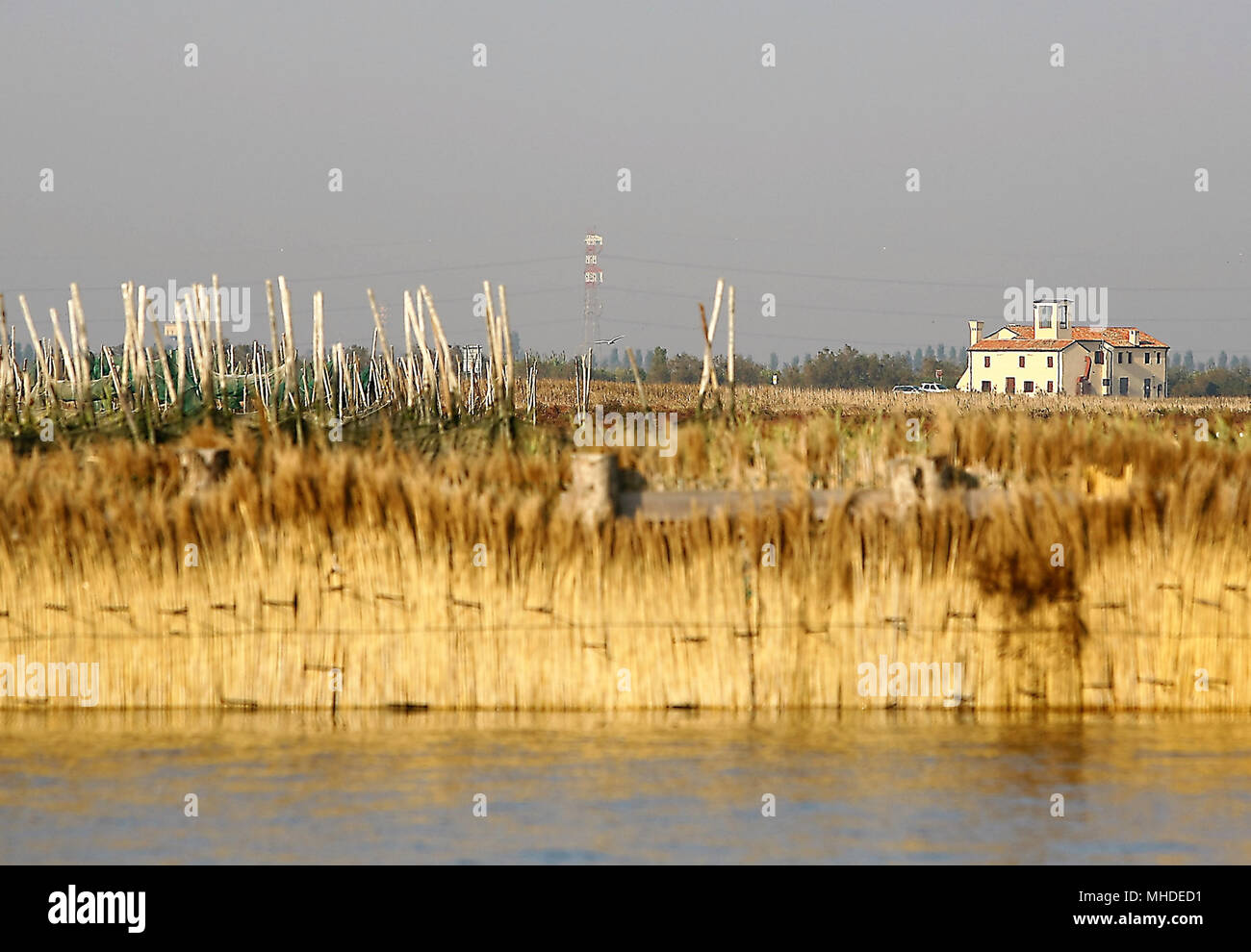 La nature marais de lagune de Venise Banque D'Images