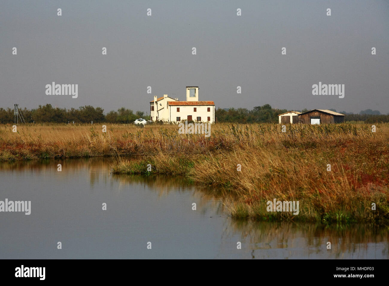 La nature marais de lagune de Venise Banque D'Images