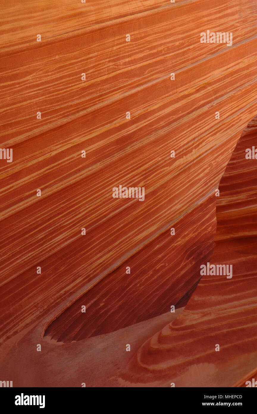 La vague, un célèbre dune de sable pétrifié, la formation n'est accessible que via une difficile randonnée à travers le désert de l'Arizona. Banque D'Images