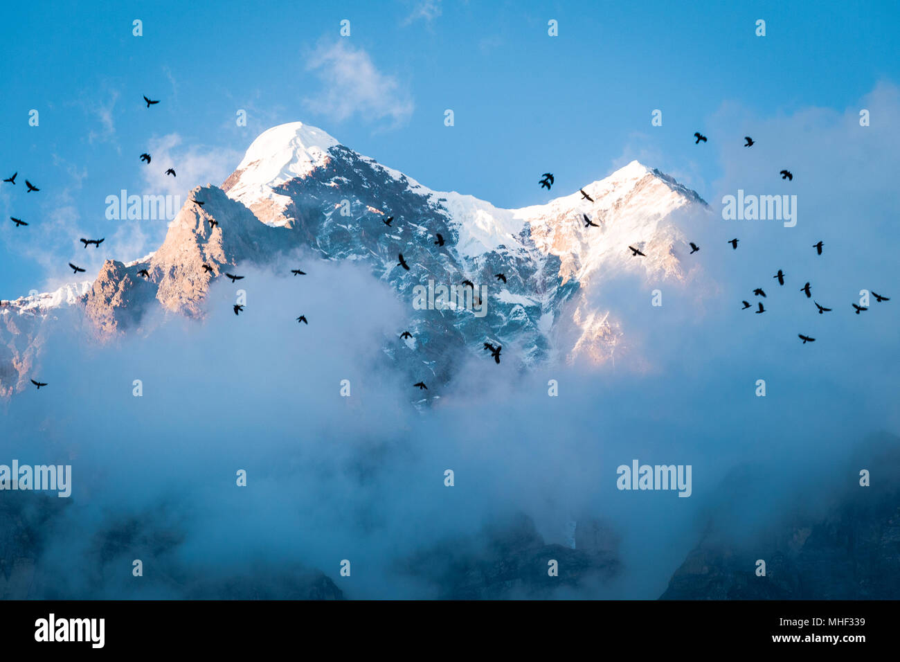 Des oiseaux volent à travers les montagnes de l'Himalaya népalais en Chumling au coucher du soleil. Banque D'Images