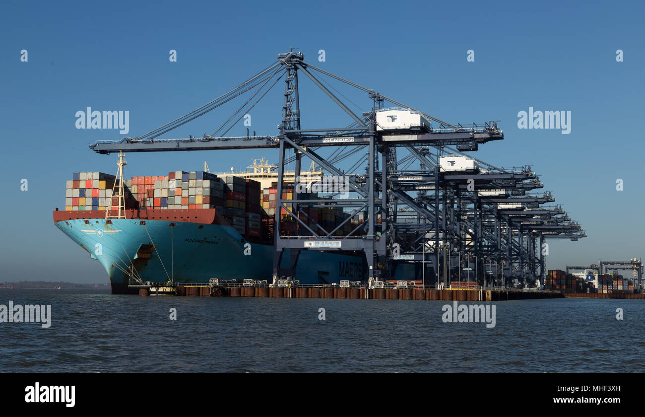 Maersk navire au port avec plus de grues de déchargement dans le port de Felixstowe Banque D'Images