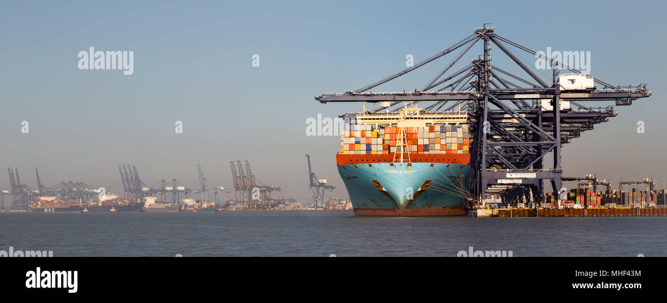 Maersk Container Ship dock de chargement au port de Felixstowe Banque D'Images