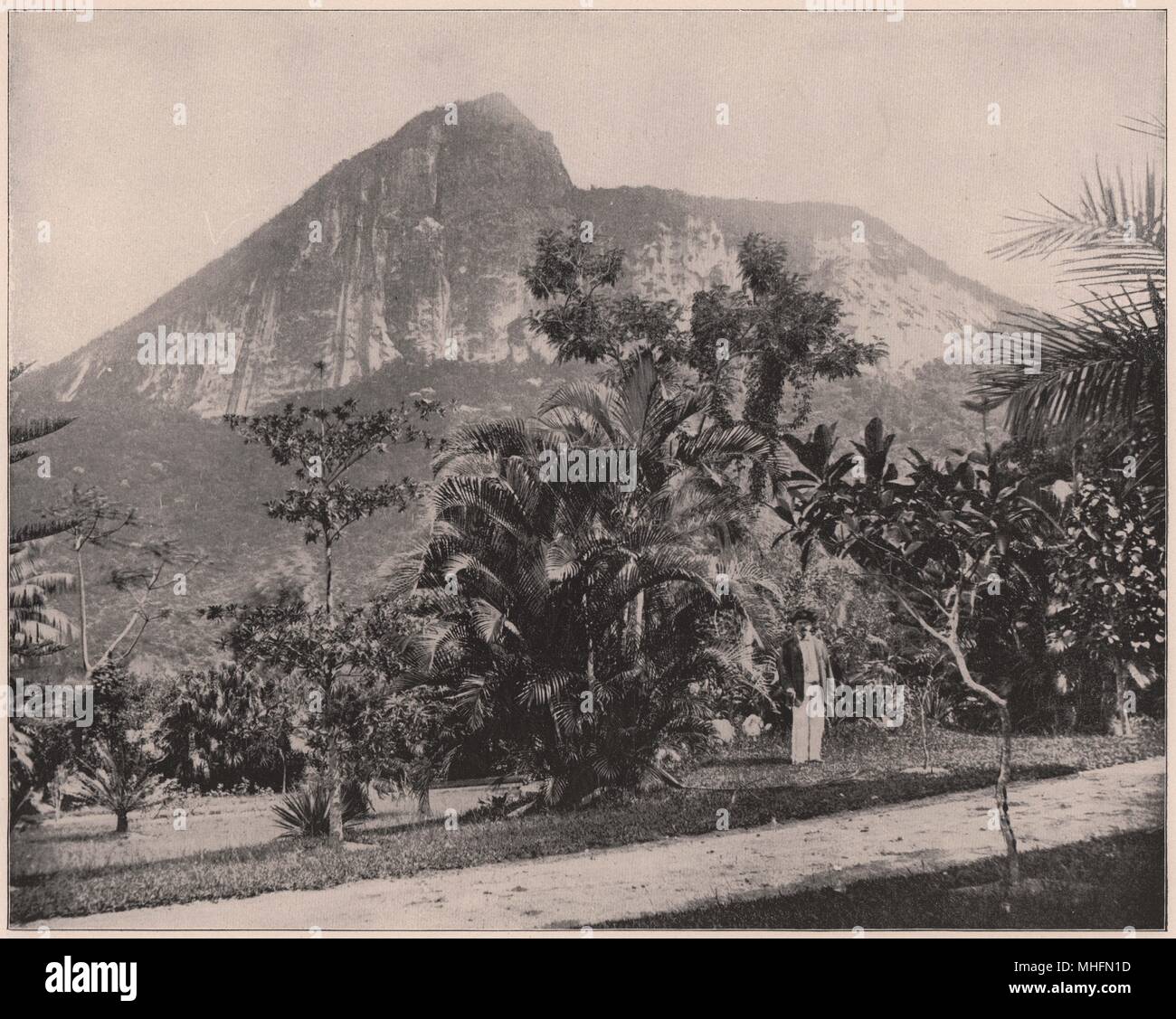 Jardins botaniques et Mt. Corcovado, Rio de Janeiro, Brésil Banque D'Images