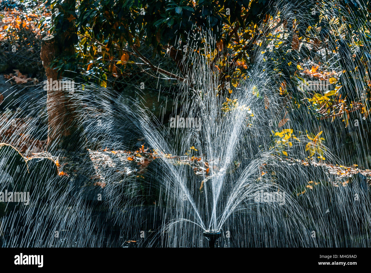 Petite fontaine dans un jardin en automne Banque D'Images