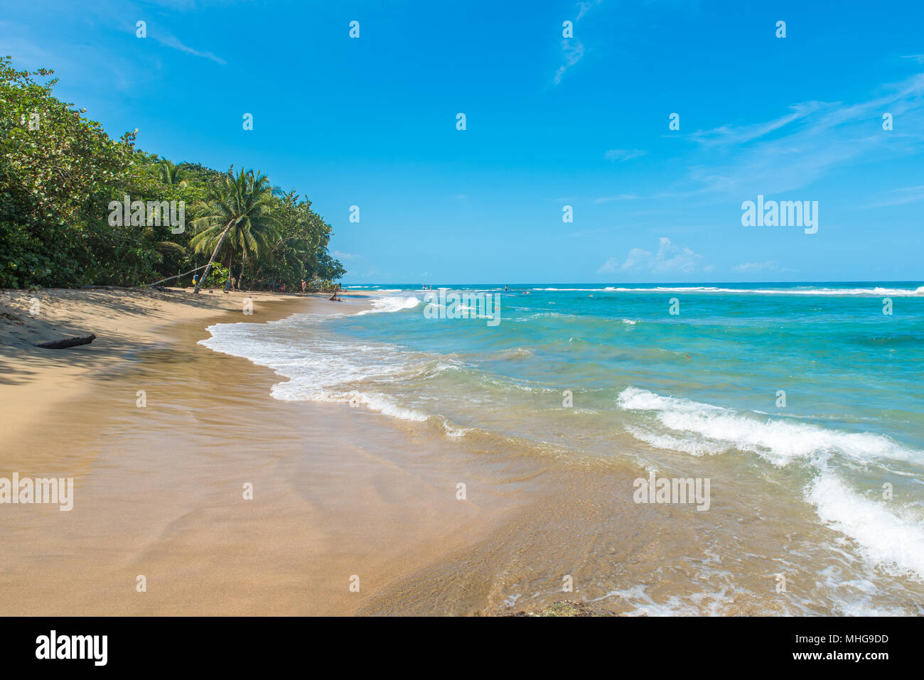 Playa Chiquita - plage sauvage à proximité de Puerto Viejo, Costa Rica Banque D'Images