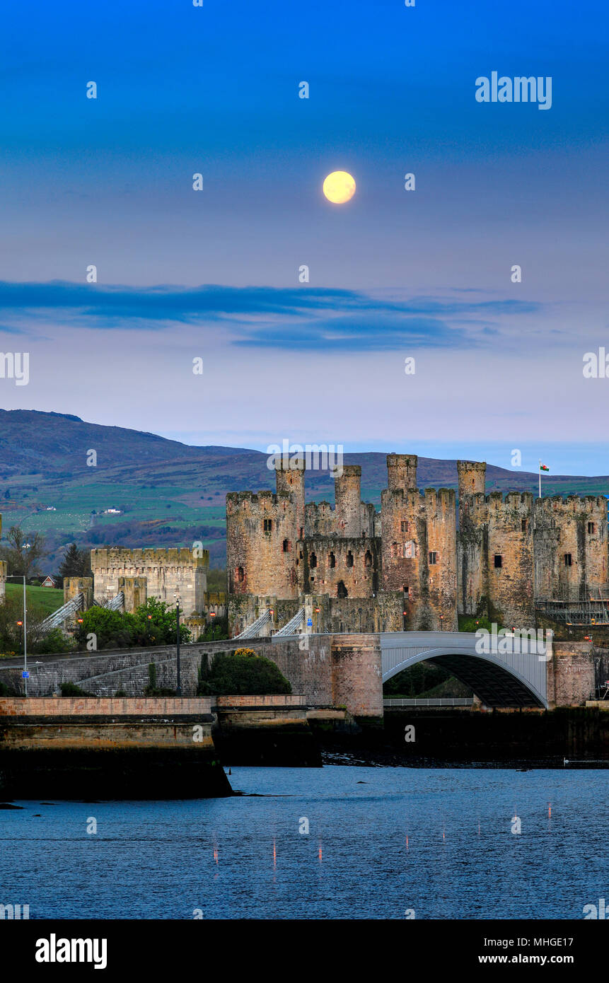 Un beau lever de lune sur l'établissement l'aube et Château de Conwy et Carnedd Llewelyn et le début du Parc National de Snowdonia, Conwy, Pays de Galles, Royaume-Uni Banque D'Images