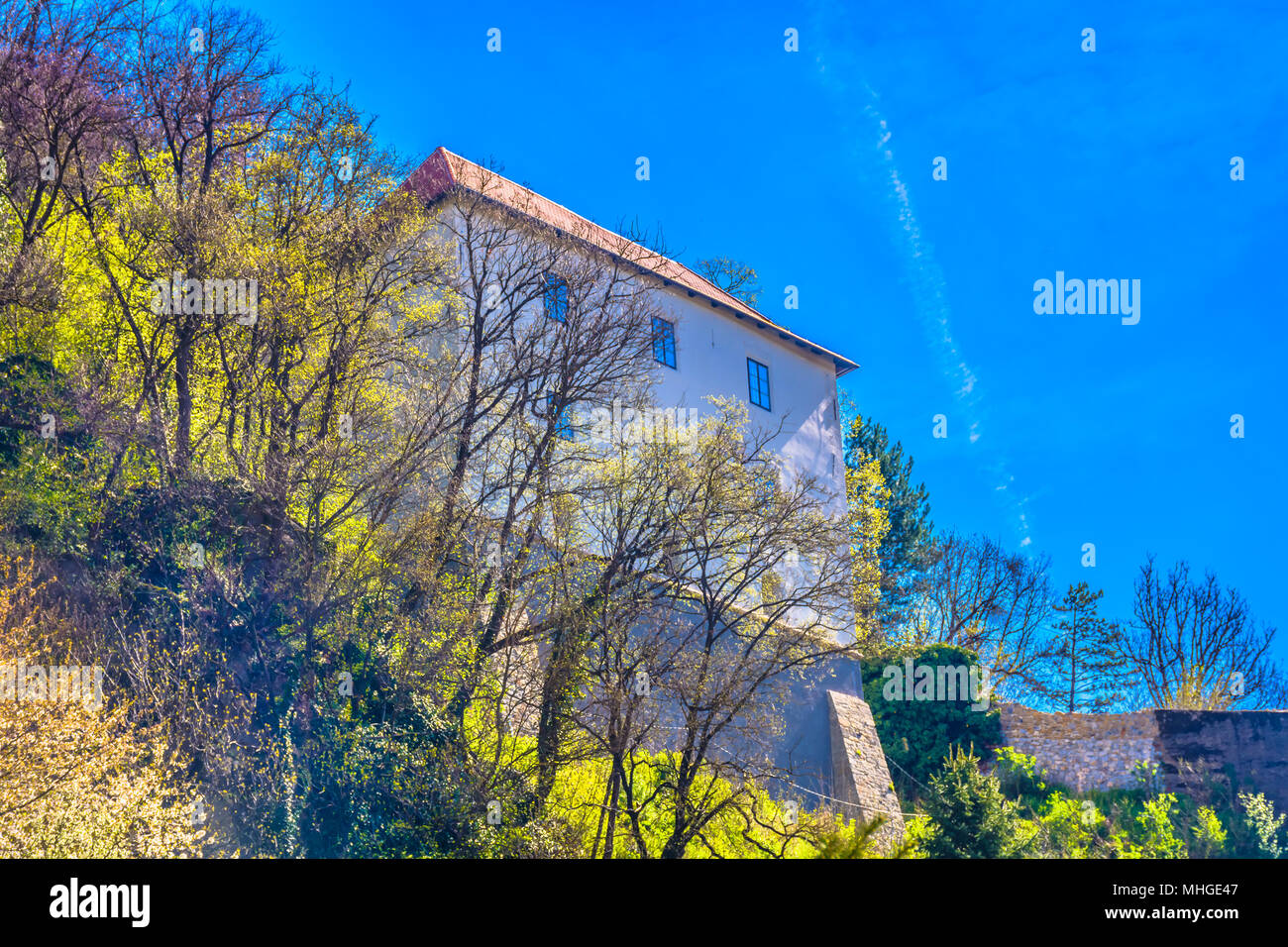 Vue panoramique au vieux Burg monument dans la ville de Krapina, en Croatie. Banque D'Images