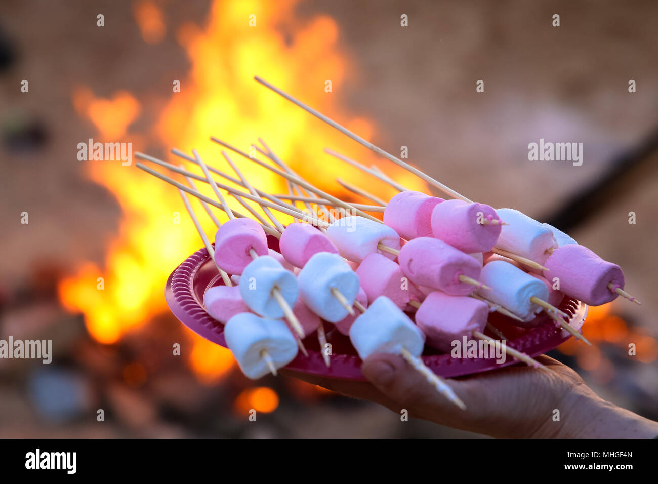Pile de délicieux et doux des guimauves sur un bâton dans l'arrière-plan d'un feu de camp Banque D'Images