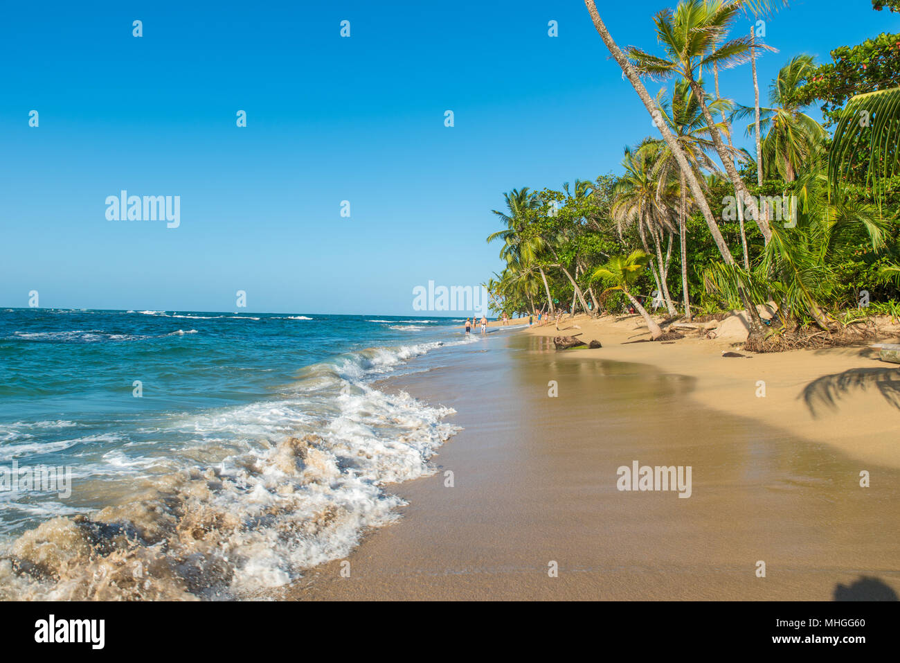 Plage De Punta Uva Costa Rica Sauvage Et Magnifique Côte