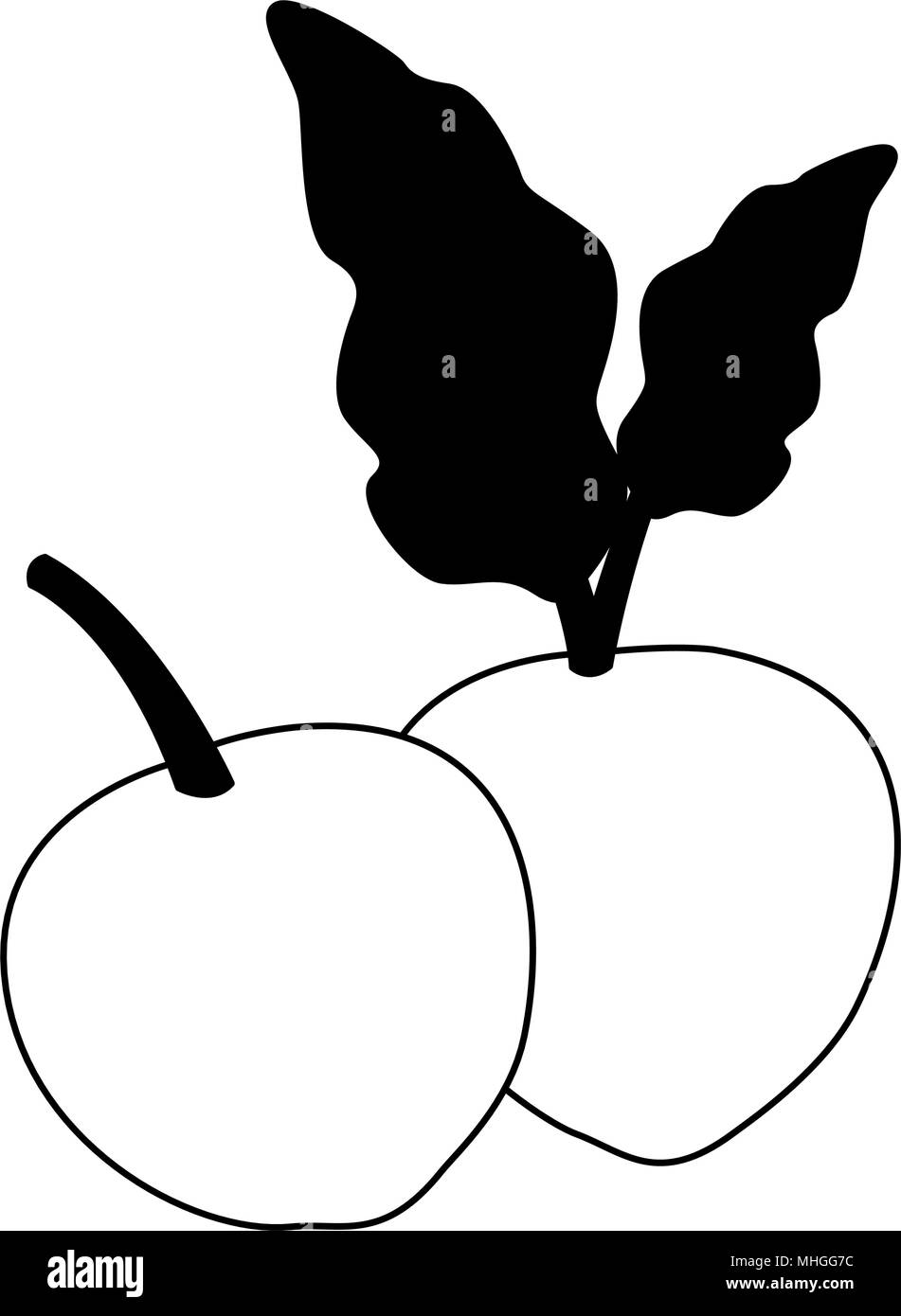 Légumes radis isolé sur les couleurs noir et blanc Illustration de Vecteur