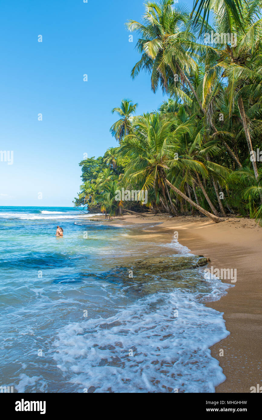Paradis Plage Sauvage De Manzanillo Au Costa Rica Banque D