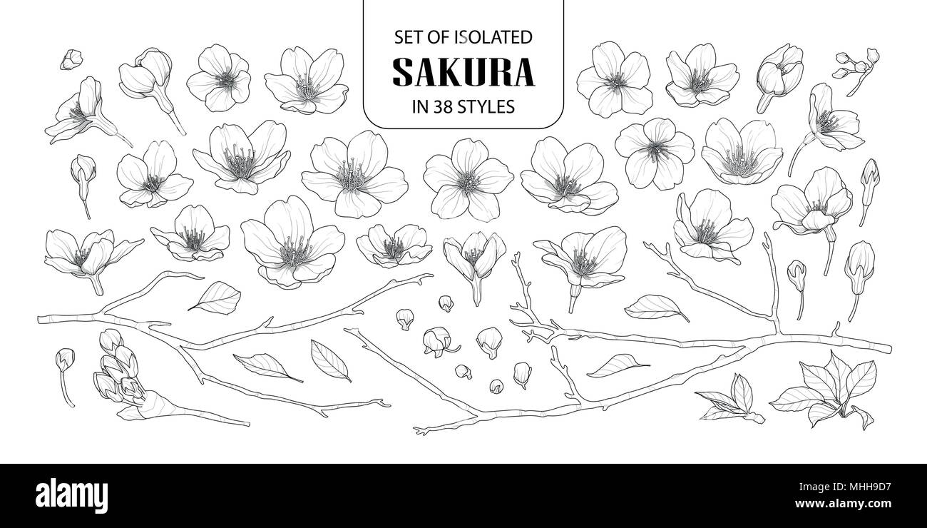 Ensemble de sakura dans isolé 38 styles. Cute hand drawn vector illustration fleurs en contour noir et blanc avion sur fond blanc. Illustration de Vecteur