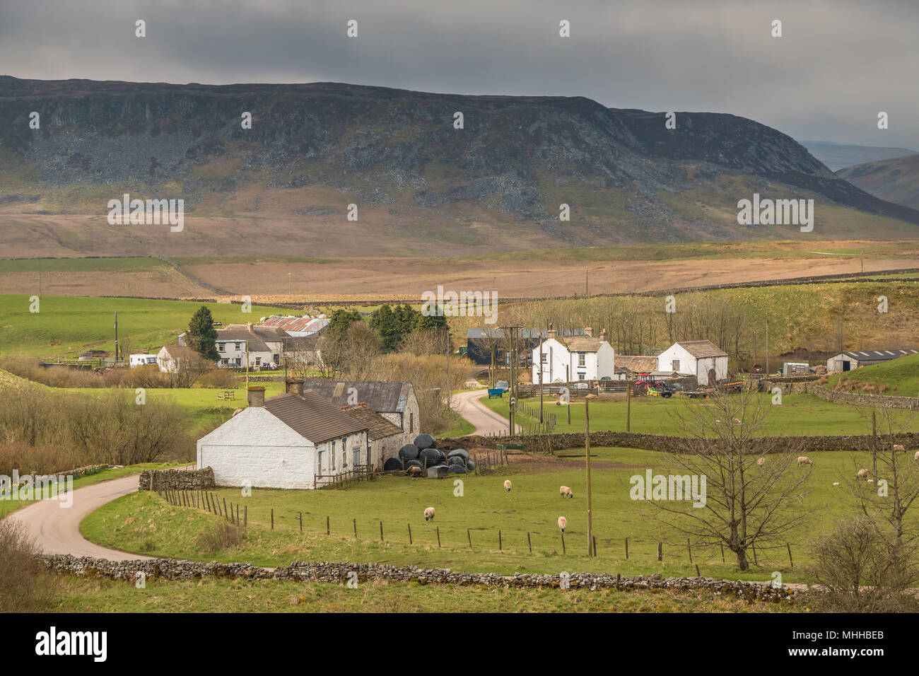 North Pennines, le paysage agricole rural hameau de Langdon Beck, avec le Royaume-Uni, de Teesdale Cronkley spectaculaire cicatrice dans l'arrière-plan Banque D'Images