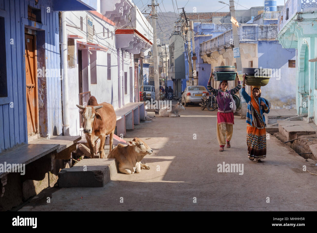 Deux femmes avec des paniers en plastique sur la tête marche dans la rue passé vaches se détendre au soleil. Bundi, Rajasthan. L'Inde Banque D'Images