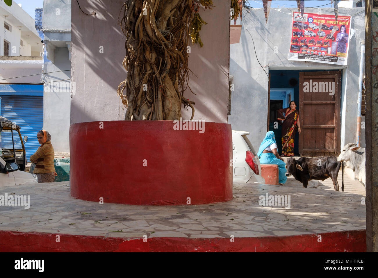 Deux femmes parlant d'une porte pendant que les vaches sont dans la rue. Bundi, Rajasthan. L'Inde Banque D'Images