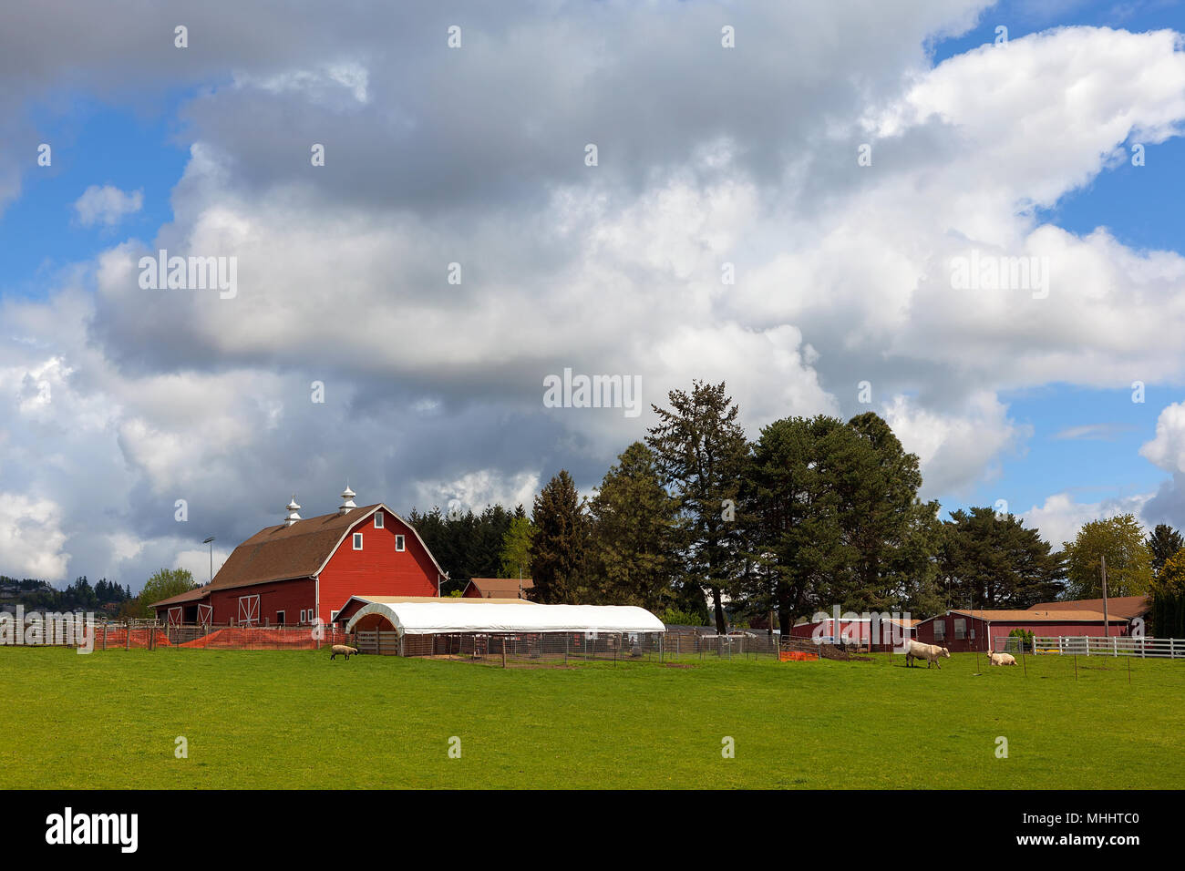 Ranch de bétail et de moutons ferme avec grange rouge dans les régions rurales de l'Oregon Clackama Banque D'Images