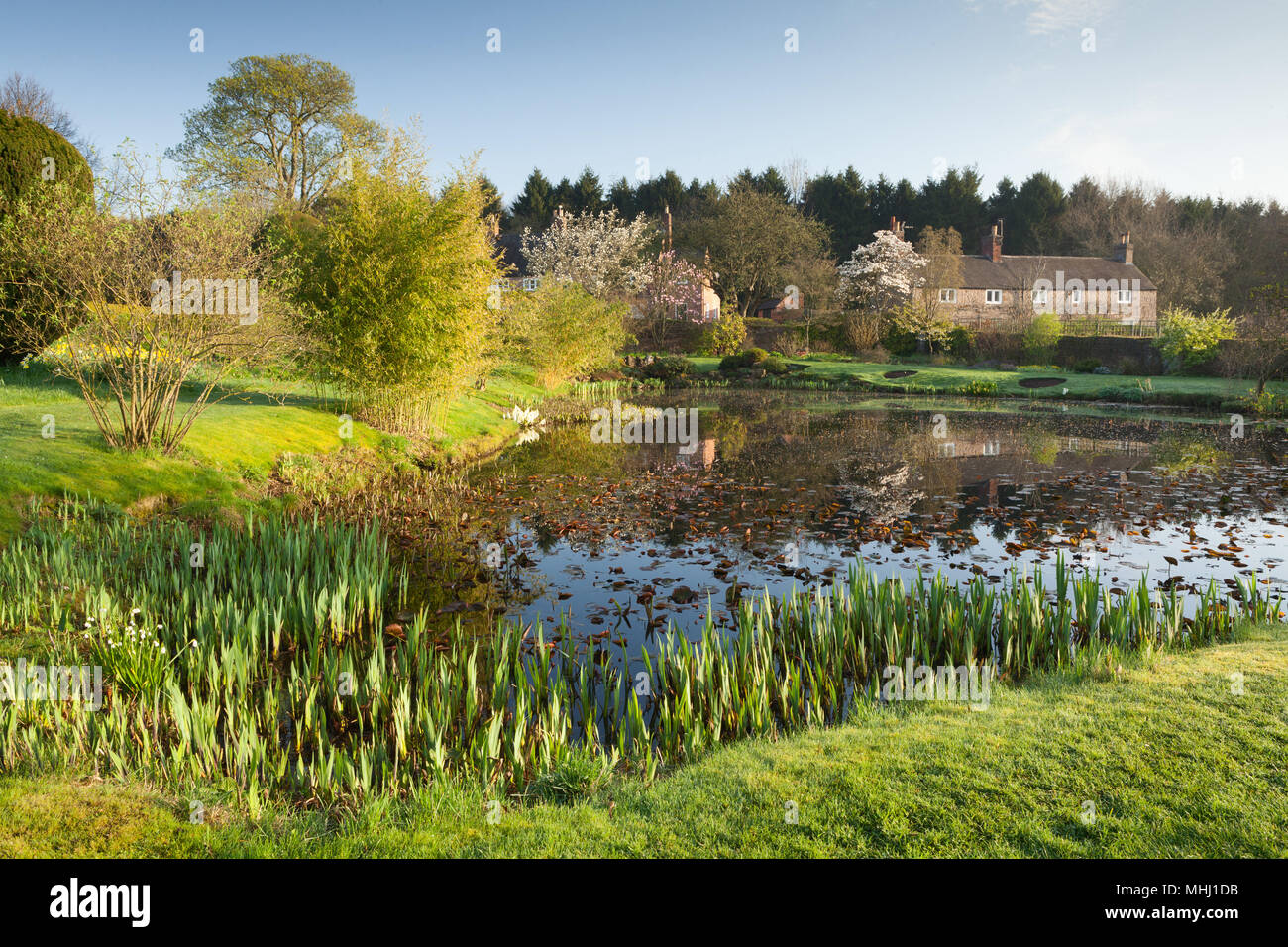 Felley jardins du Prieuré, Felley Prieuré, Underwood, Dorset, UK. Printemps, avril 2018. Banque D'Images