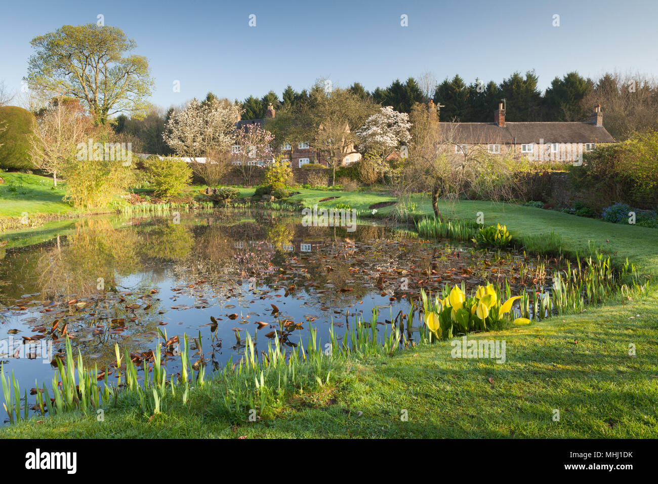 Felley jardins du Prieuré, Felley Prieuré, Underwood, Dorset, UK. Printemps, avril 2018. Banque D'Images