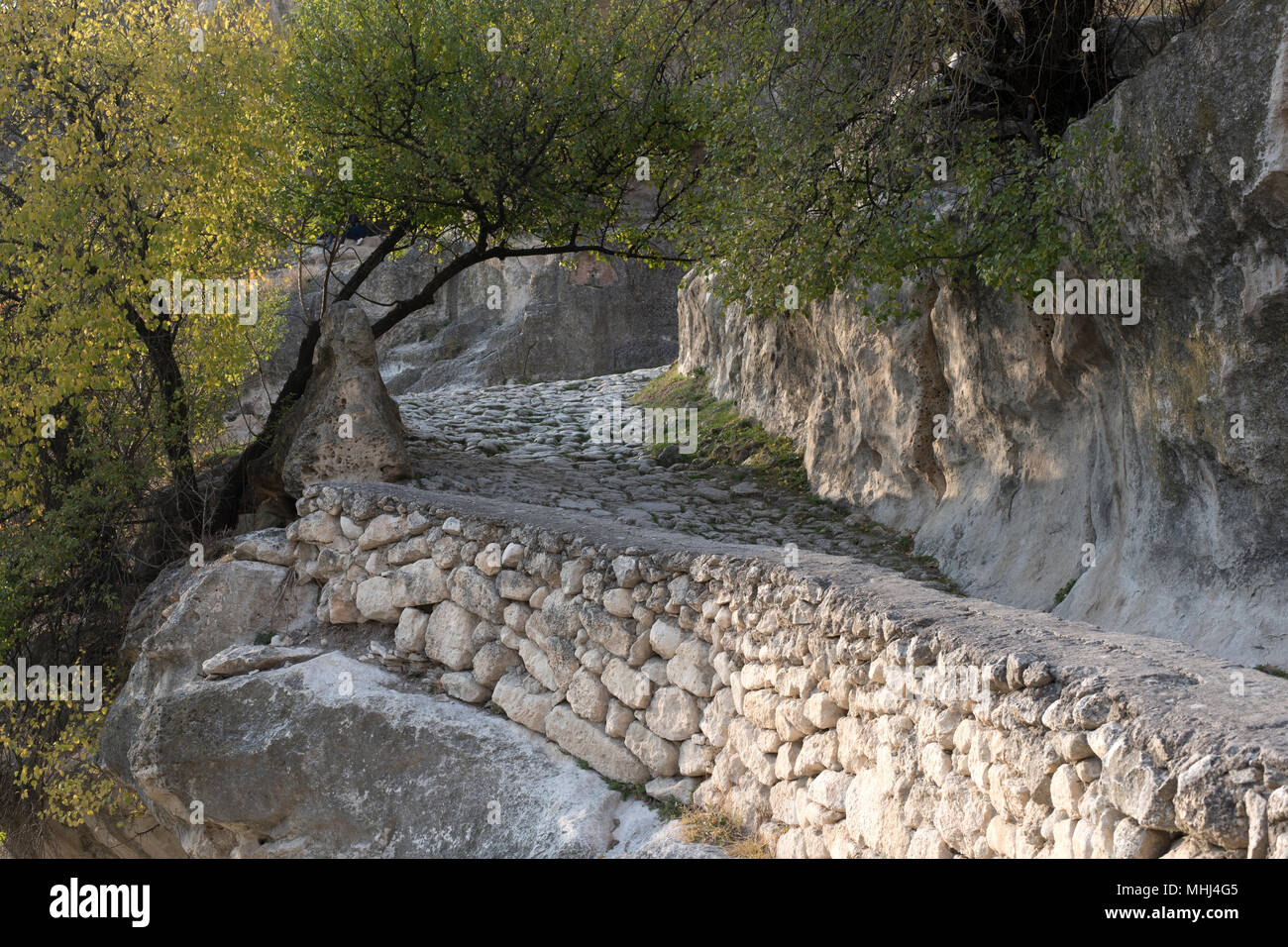 Sentier romantique avec un arbre dans le parc Banque D'Images